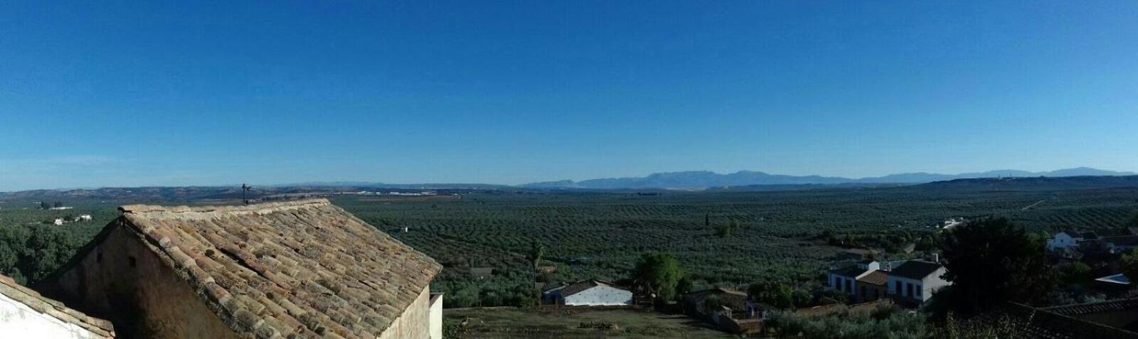 Casa Rural Verde Oliva Baños de la Encina Eksteriør bilde